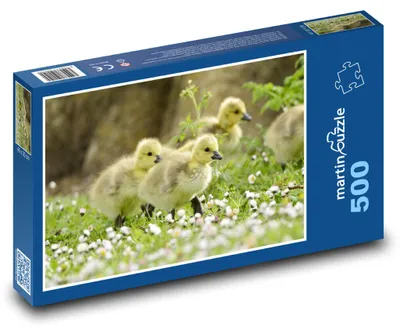 Obrázok produktu pre Puzzle 500 Kačiatka na lúke - martinpuzzle