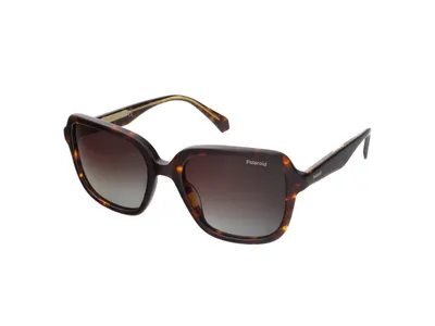 Produktbild von Polaroid PLD 4095/S/X Havana 53/19/145 Damen Sonnenbrillen