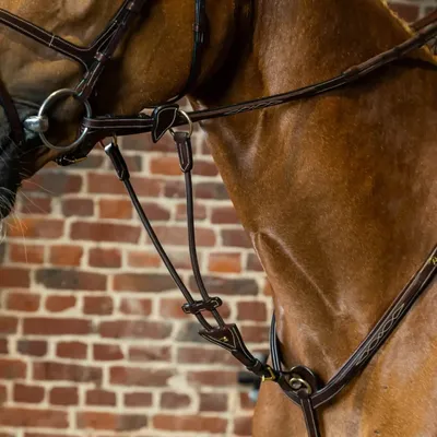 Image de Dyon D-Collection Fourche de martingale standard élastique, taille : Full, couleur : marron