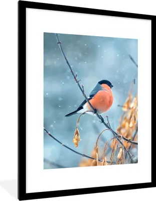 Produktbild von MuchoWow® Gerahmtes Poster Rotkehlchen - Vogel - Schnee - Herbstliche Blätter 60x80 cm - Poster mit Schwarzem Bilderrahmen Wandposter Rahmen Foto Bilder - Wohnzimmer - Dekorationen - Prämie