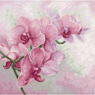 Productafbeelding van Luca-S Kreuzstich Set "Graziöse Orchideen", Zählmuster, 25x25cm