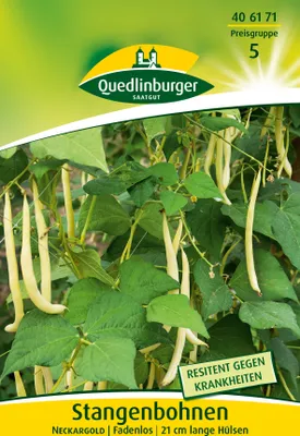 Produktbild von Stangenbohne Neckargold | Stangenbohnensamen von Quedlinburger