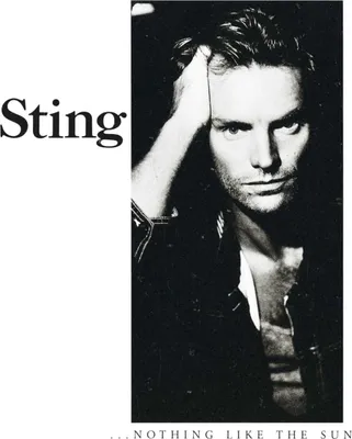 Produktbild von ...Nothing Like the Sun (2lp) [Vinyl LP]