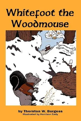Produktbild von Weißfuß die Waldmaus