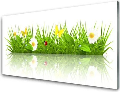 Produktbild von Acrylglasbilder 100x50 Wandbild Druck Gras Natur
