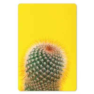 Obrázok produktu pre Podložka pod myš - Kaktus s červenou - 18x27cm - Rohožka pod myš