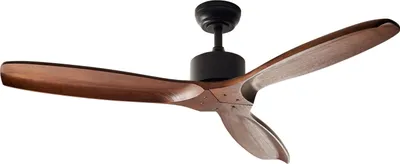 Produktbild von BELIANI Deckenventilator Dunkelbraun Massivholz mit Fernbedienung 5 Geschwindigkeitsstufen Rustikaler Stil Traditionell für Wohnzimmer Schlafzimmer
