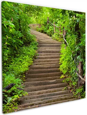 Produktbild von Wallario Premium Leinwandbild Steintreppe im Wald in Größe 50 x 50 cm