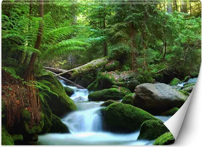 Produktbild von Vlies fototapete Bergbach im Wald 400x280 cm Feeby Grün inkl. Kleber einfache Montage
