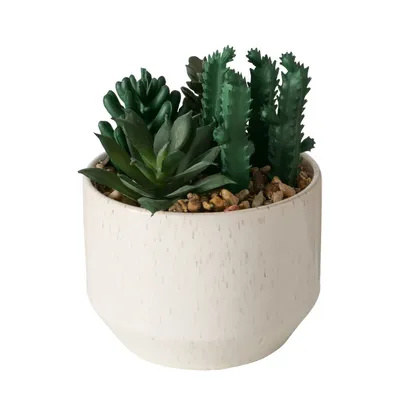 Zdjęcie produktu dla Sztuczna roślinka SUCCULENT, 12 cm