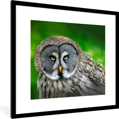 Produktbild von MuchoWow® Gerahmtes Poster Vogel - Eule - Tiere - Braun - Porträt 40x40 cm - Poster mit Schwarzem Bilderrahmen Wandposter Rahmen Foto Bilder - Poster - Plakat im Rahmen
