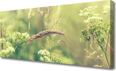 Produktbild von Tulup Leinwand-Bilder 125x50 Wandbild Canvas Kunstdruck Wildpflanzen Pflanzen