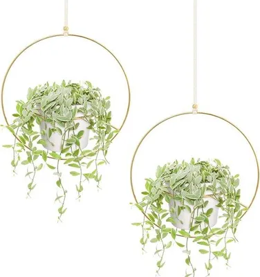 Produktbild von Famanu Pflanzenhänger - Metallene Runde Halterung - Set von 2 Stück