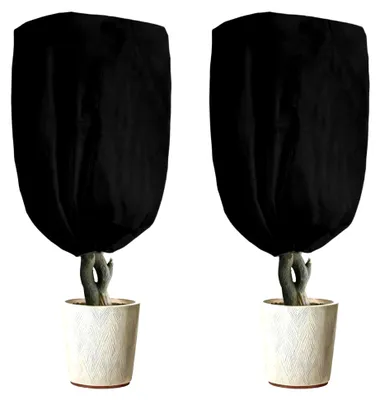 Produktbild von 2 Stück Pflanzenschutz Winterhaube Schwarz 80 x 120 cm, Winterschutz für Pflanzen, Frostschutzabdeckung für Olivenbäume, Palmen und Kübelpflanzen