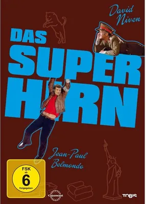 Obrázek produktu pro Das Superhirn