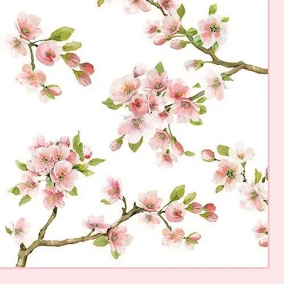Produktbild von 20 Servietten Sakura - Blühende Kirschzweige 33x33cm