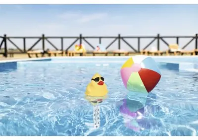 Produktbild von Poolthermometer mit Ente und Befestigungsleine