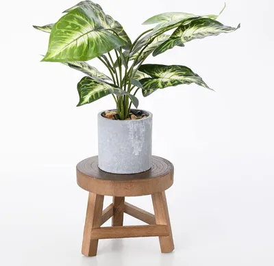 Produktbild von Kleiner Pflanzenhocker aus Holz - Runder Blumentopfständer aus Holz - Für drinnen und draußen - Modernes Dekor (1)