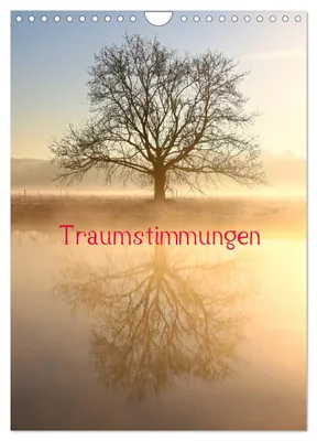 Produktbild von Traumstimmungen (Wandkalender 2027 DIN A4 hoch), CALVENDO Monatskalender