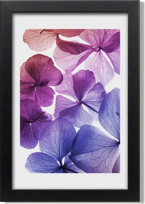 Produktbild von Bild 20x30 MDF-Rahmen, Wandkunst Violette Blumen