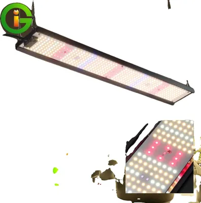 Image de Lumière LED pour plantes, spectre complet Quantum Board, adaptée à toutes les phases de croissance