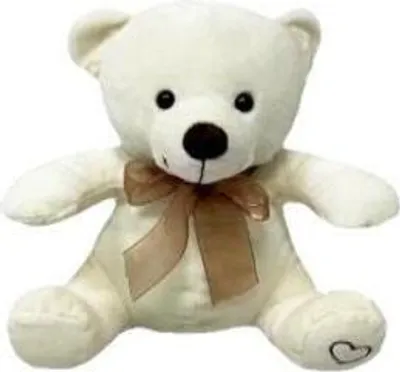 Produktbild von Teddybär Emil 20 cm (Plüschtiere)