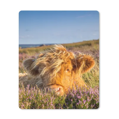 Produktbild von MuchoWow® Mauspad Mousepad Schottische Highlander - Heide - Gras - Tiere 30x40 cm - Mousepads - Maus Mat - Pad - Mausunterlage - Mausmatten