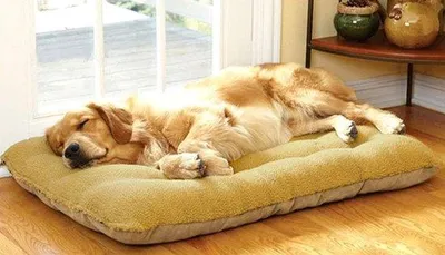 Image de Lit pour animaux de compagnie, lit double pour chiens et chats, disponible en deux tailles, matelas pour animaux de compagnie