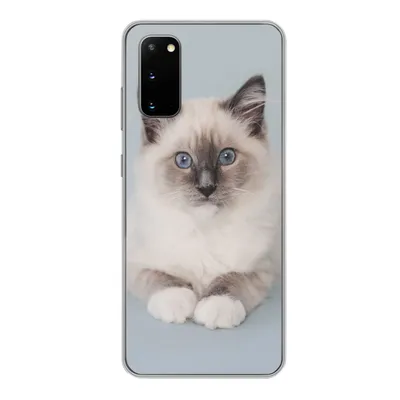 Produktbild von MuchoWow® Handyhülle Schutzhülle Hülle für Samsung Galaxy S20 Katze - Ragdoll Katze - Blau - Mädchen - Kinder - Jungen - Kind Silikon Softcase Handy Hülle - Bild