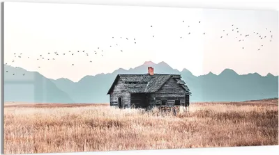 Produktbild von DEQORI Glasbild Echtglas 100x50 cm 'Stille Feldhütte' Wandbild Bild modern Deko