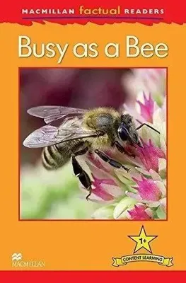 Immagine prodotto di Macmillan Factual Readers - Busy as a Bee - Level 1