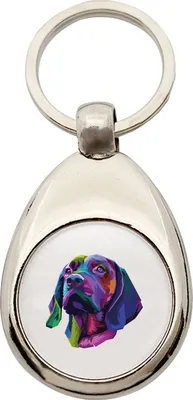 Produktbild von Huuraa Schlüsselanhänger Labrador Colorful Metall Schlüsselring Einkaufswagenchip Geschenkidee