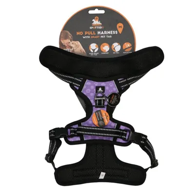 Image de Spotted  Pro harnais pour chien No Pull Haness violet, taille : M
