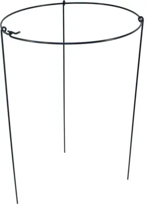 Produktbild von Runde Pflanzenstütze 60 cm – Grün