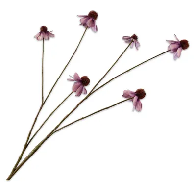 Produktbild von Silk-ka Kunstblume – Seidenblumenzweig Rudbeckia, Lavendel, 95 cm