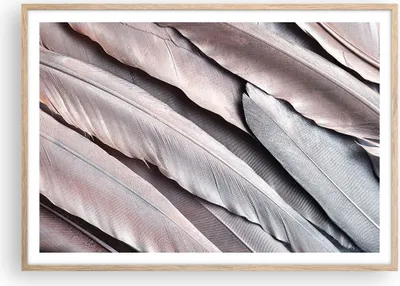 Produktbild von Gerahmtes Poster - Rahmen in heller Eiche - Federn Flügel Feder - 100x70 cm - Wand Bild - Wanddeko - Wandbilder - Kunstposter - Wandposter - Bilderrahmen - Bilder - Kunstdruck - P2NAA100x70-5114