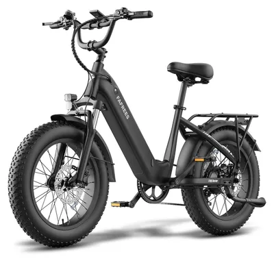 Produktbild von E-Bike Fatbike 250W 48V 20Ah Akku 75-100km Reichweite 20x4.0 Zoll Schwarz