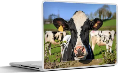 Produktbild von MuchoWow® Laptop Aufkleber Sticker Cover Kuh - Zaun - Gras - Tiere 32.5x23.5 cm - Sticker für Laptop - Selbstklebend