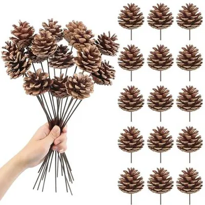 Zdjęcie produktu dla Szyszki sosnowe naturalne dekoracyjne do wazonu choinka 15 szt 30 cm