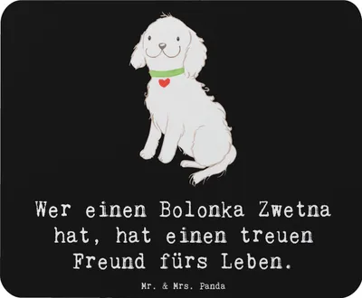 Produktbild von Mr. & Mrs. Panda Mauspad Bolonka Zwetna - Schwarz - Geschenk, mousematte, treuer Freund, Mousepad, Familienhund, hypoallergen, laptop, Hunderassen, Hunde, Mouse Pad, pc