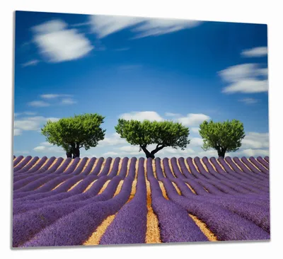 Produktbild von Wallario Herdabdeckplatte aus Glas, Größe 60 x 52 cm 1-teilig, Motiv Abstraktes lila Blumenfeld mit Lavendel