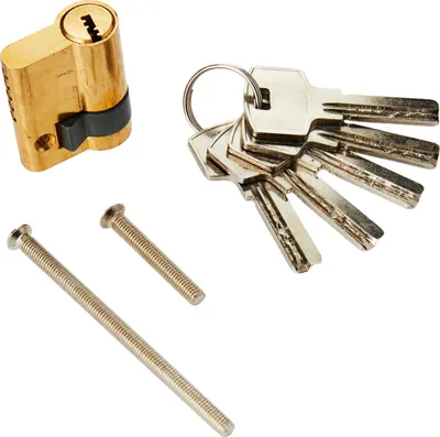 Immagine prodotto di BGS Diy 85818 | Cilindro di chiusura della porta del garage | 40 mm