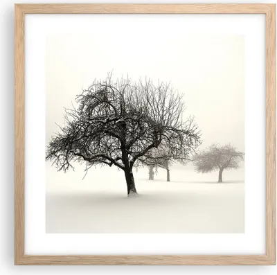 Produktbild von Gerahmtes Poster - Rahmen in heller Eiche - Bäume Schnee Nebel - 40x40 cm - Wand Bild - Wanddeko - Wandbilder - Wandposter - Bilderrahmen - Bilder - Kunstdruck - Wandbild - P2NAC40x40-4136