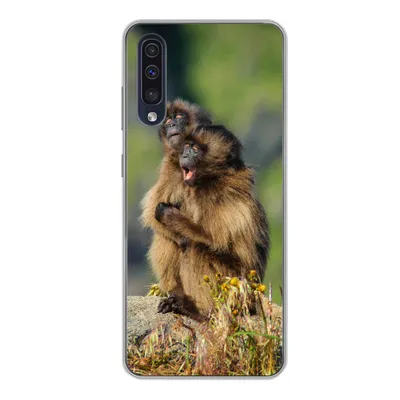 Produktbild von MuchoWow® Handyhülle Schutzhülle Hülle für Samsung Galaxy A50 Affen - Pflanzen - Steine - Familie Silikon Softcase Handy Hülle - Mobiltelefonhülle