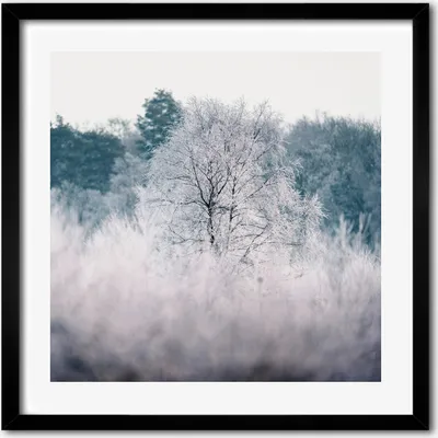Produktbild von Bild - 50 cm x 50 cm - MDF - Rahmen, Wandkunst - Winter Bäume