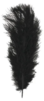 Straußenfeder 30 cm, schwarz, 1 Stück im SB-Beutel