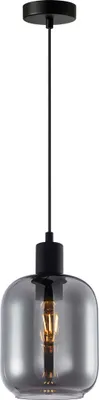 Image de Suspension moderne en verre fumé noir pour salon chambre 1xE27 40W ZONA Italux