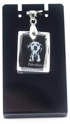 Zdjęcie produktu dla Dalmatyn – Kryształowa zawieszka z psem, naszyjnik z fotografią, wyjątkowe biżuterii od Art-Dog