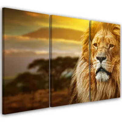 Produktbild von Triptychon auf leinwand tiere - orange 150x100 cm Feeby orange wandbild bereit zum aufhängen