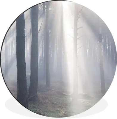 Produktbild von MuchoWow® Aluminium Wandkreis Sonnenstrahlen leuchten in einem Wald Ø 60 cm Wanddeko Modern Wohnzimmer - Wand Kreis - Wandbild - Schlafzimmer - Aluminium Bild - Kinderzimmer - Wohnzimmer Dekoration - Wandschmuck